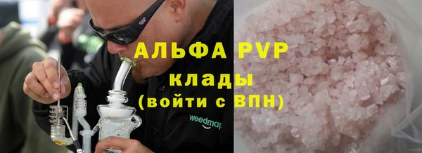 твердый Абаза