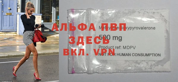 СК Абинск