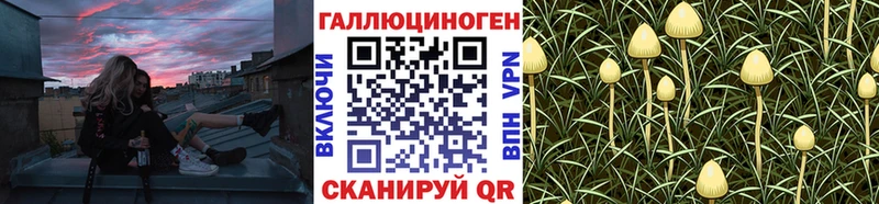 где продают   Каменка  Галлюциногенные грибы Psilocybe 